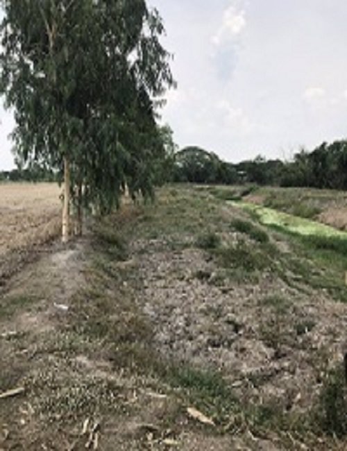 ขายที่ดิน-106-ไร่-จากราคา-53-ล้านลงมาเหลือ-38-ล้านต้นๆบ้านนานครนายก