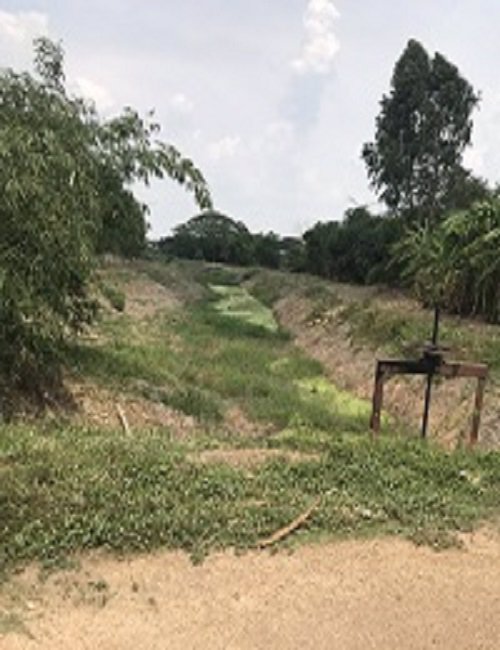 ขายที่ดิน-106-ไร่-จากราคา-53-ล้านลงมาเหลือ-38-ล้านต้นๆบ้านนานครนายก