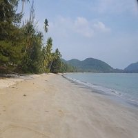 ขายที่ดิน-ติดหาดทรายรี-17-ไร่-347-ตรวา