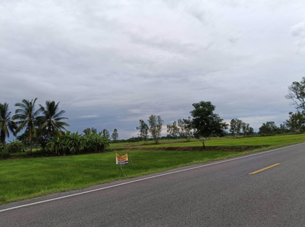 ขายที่ดินติดทาง-รพช-หน้ากว้าง