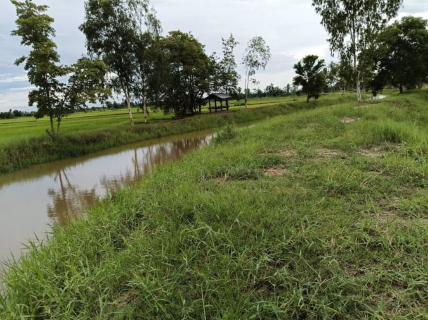 ขายที่ดินติดทาง-รพช-หน้ากว้าง