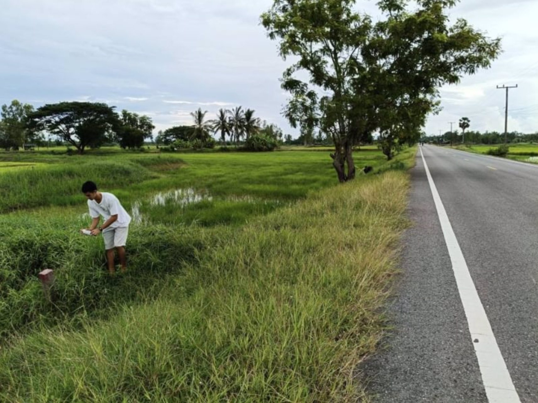ขายที่ดินติดทาง-รพช-หน้ากว้าง