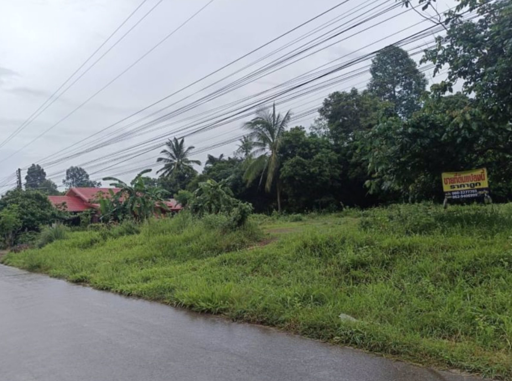 ขายที่ดิน-เนื้อที่-251ตรว-ถมแล้ว-ติดถนนคอนกรีต