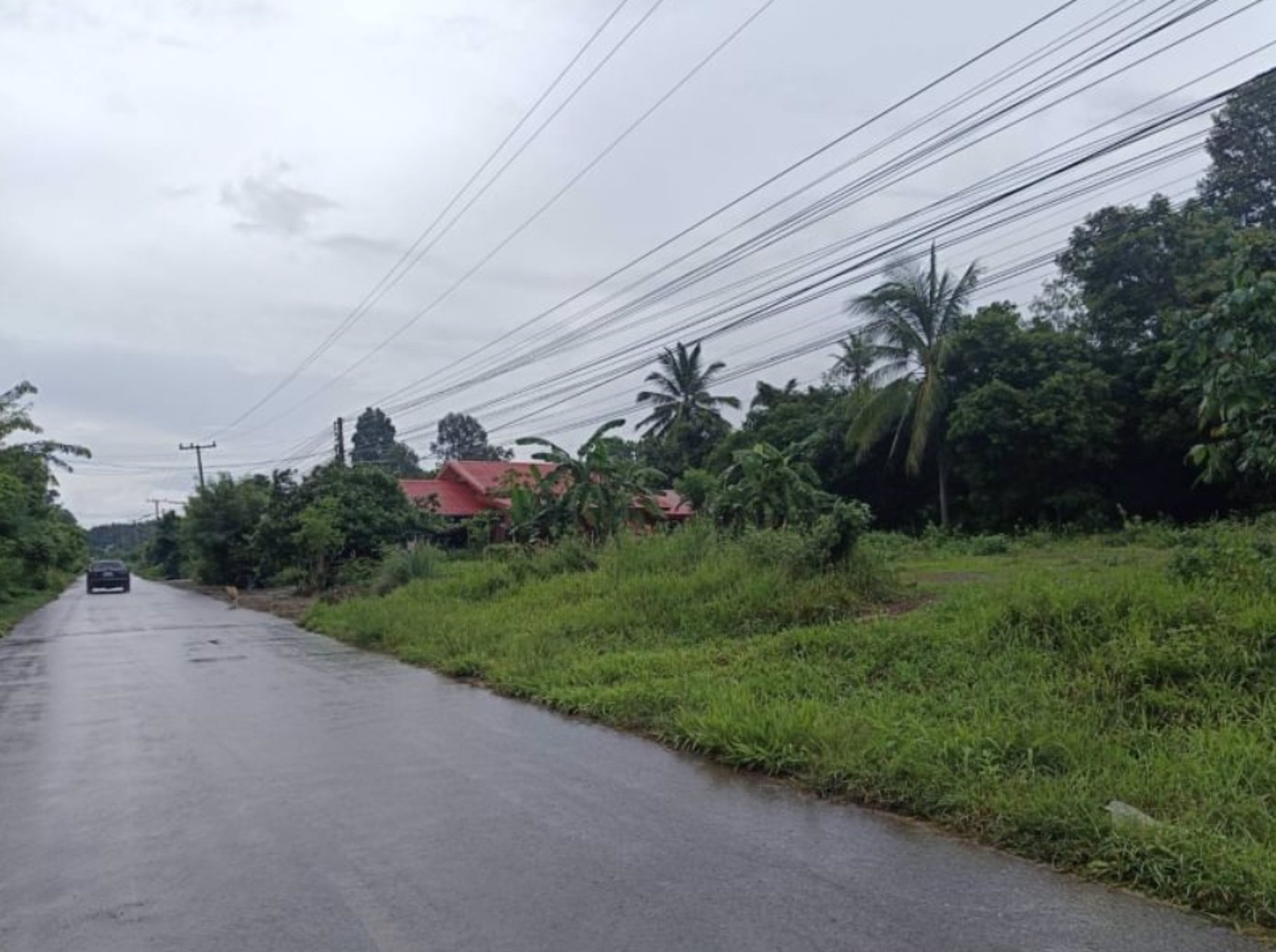 ขายที่ดิน-เนื้อที่-251ตรว-ถมแล้ว-ติดถนนคอนกรีต