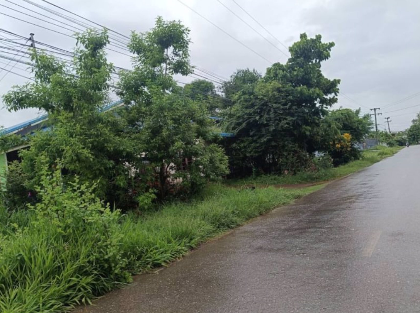 ขายที่ดิน-เนื้อที่-251ตรว-ถมแล้ว-ติดถนนคอนกรีต