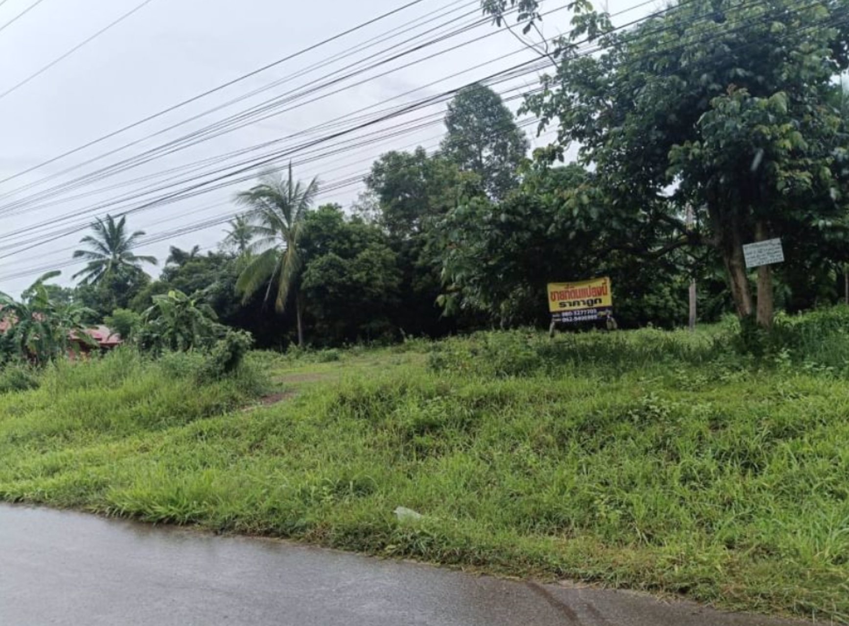 ขายที่ดิน-เนื้อที่-251ตรว-ถมแล้ว-ติดถนนคอนกรีต