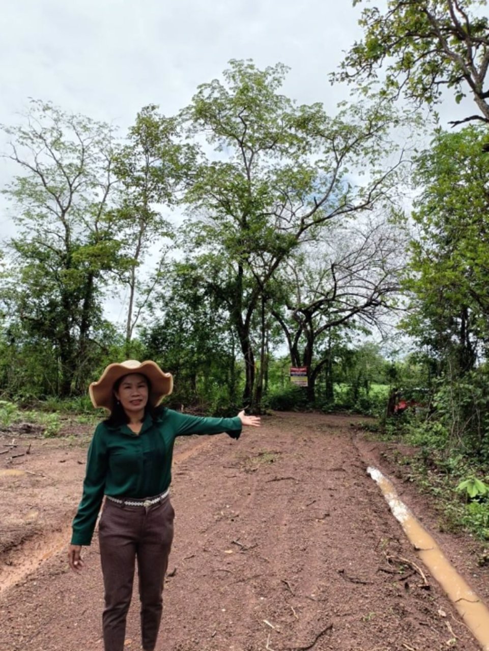 ขายที่ดิน100ตรว-ราคา99000บาท-ผ่อนวัน100บาท-