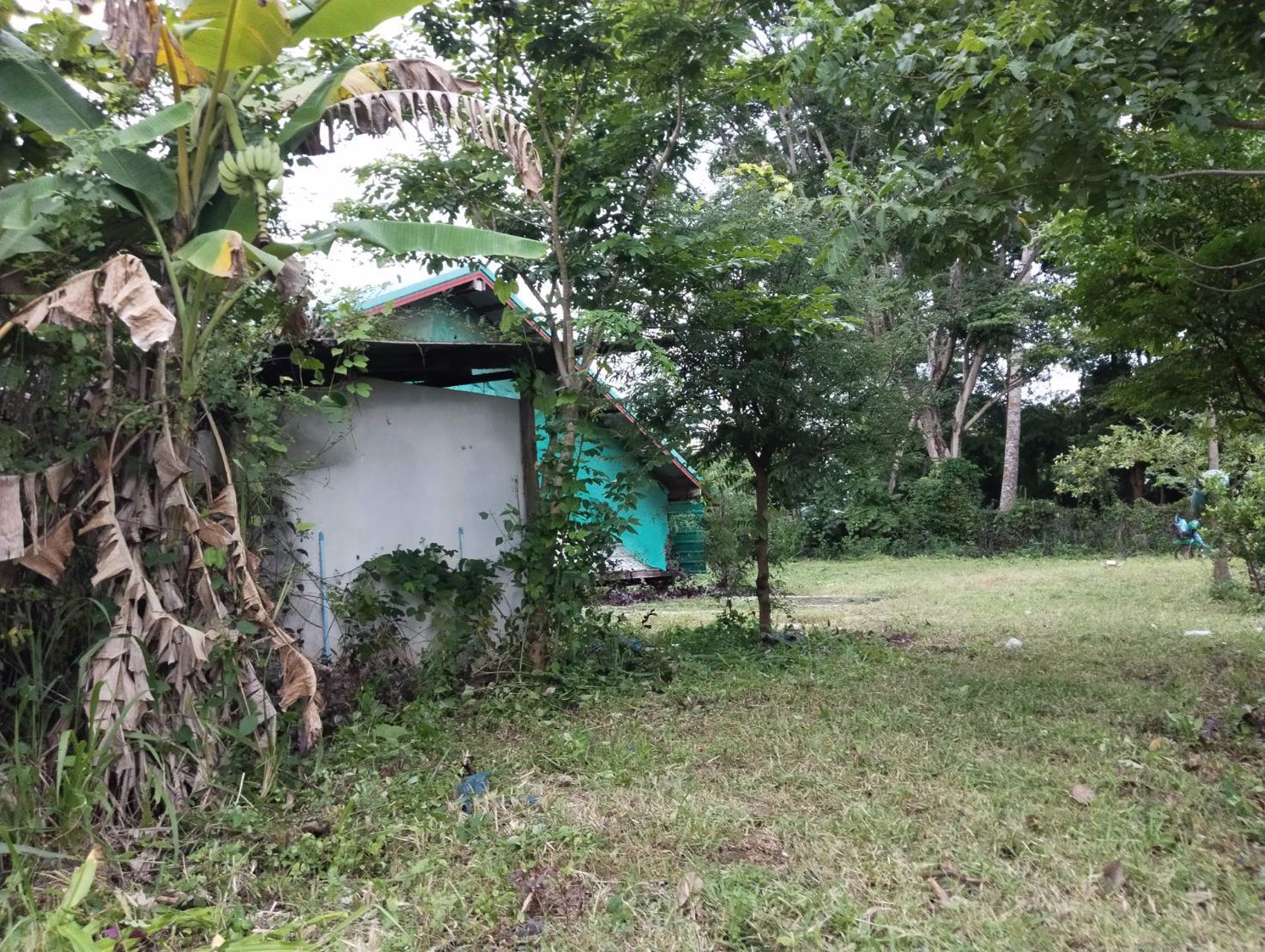 ขายที่ดิน-เนื้อที่-9ไร่-3งาน-51ตารางวา