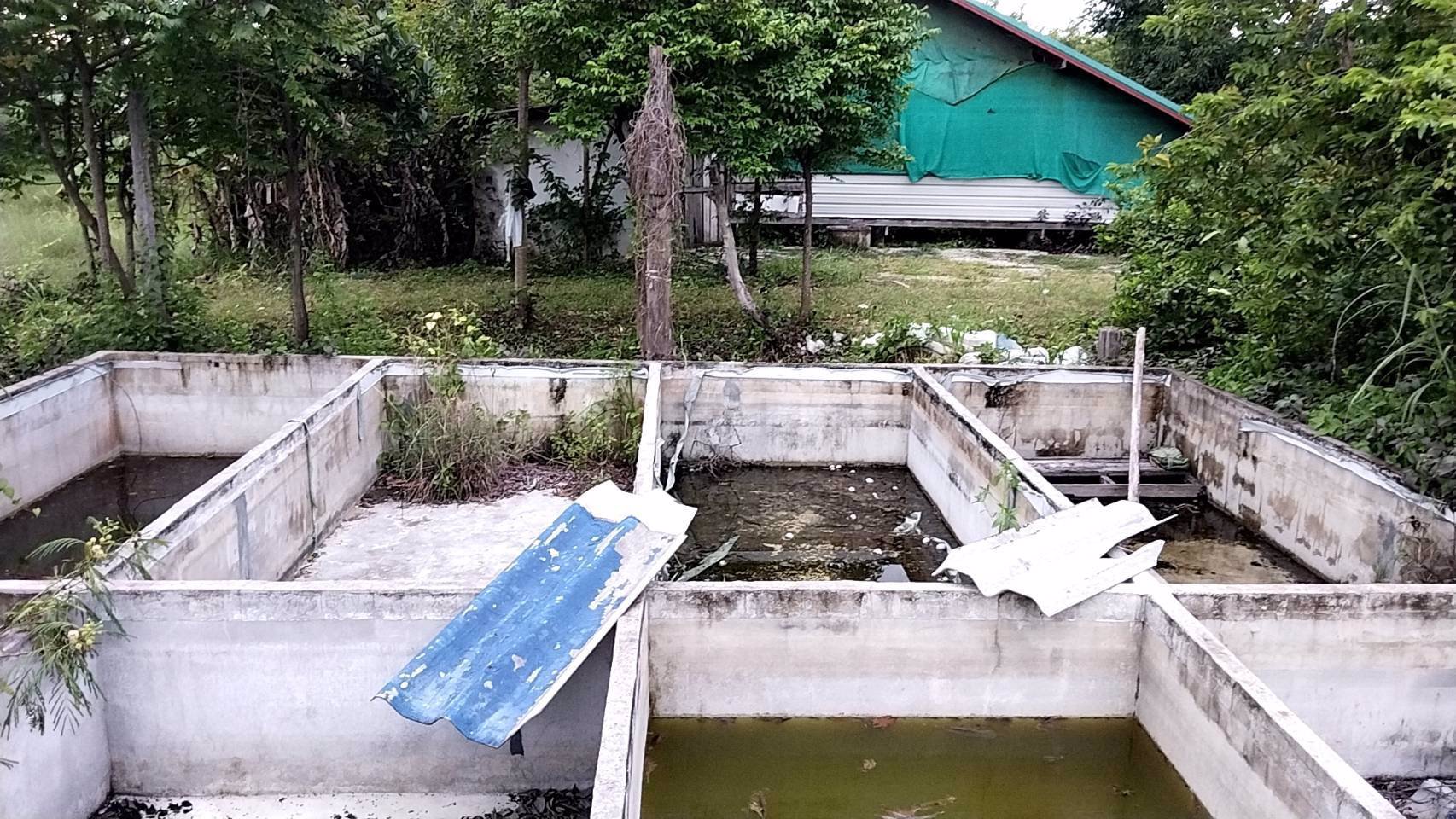 ขายที่ดิน-เนื้อที่-9ไร่-3งาน-51ตารางวา