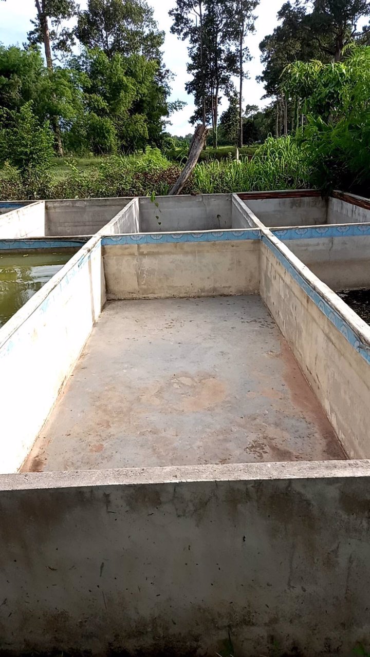 ขายที่ดิน-เนื้อที่-9ไร่-3งาน-51ตารางวา