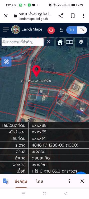ขายที่ดิน-1-ไร่-แบ่งเนื้อที่แปลงละ-100-ตรว