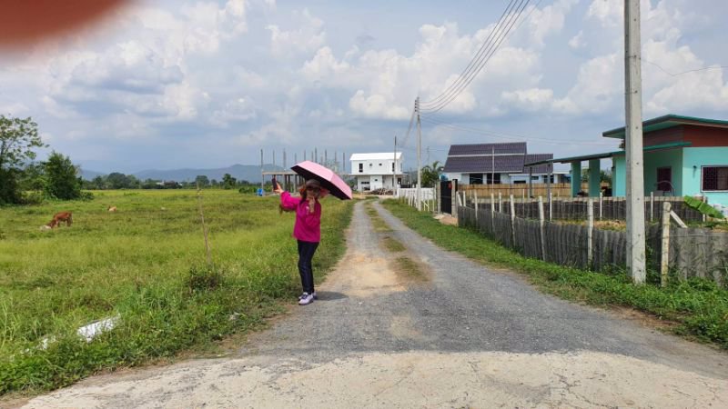 ขายที่ดิน-1-ไร่-แบ่งเนื้อที่แปลงละ-100-ตรว