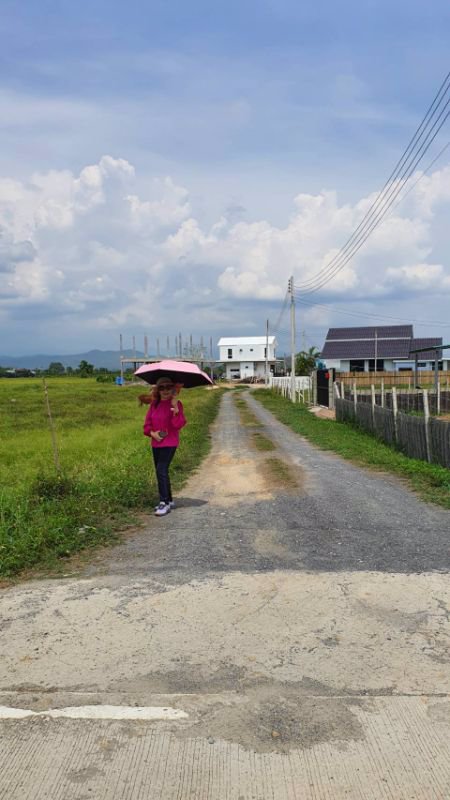 ขายที่ดิน-1-ไร่-แบ่งเนื้อที่แปลงละ-100-ตรว