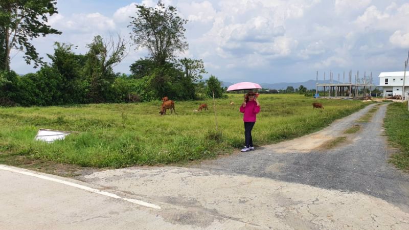 ขายที่ดิน-1-ไร่-แบ่งเนื้อที่แปลงละ-100-ตรว