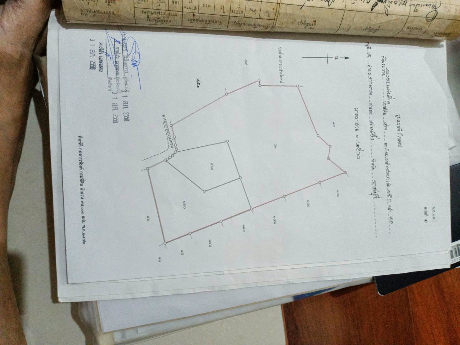 ขายที่ดิน-พร้อมต้นปาล์ม-เนื้อที่รวม-33-ไร่-2-งาน-84-ตารางวา