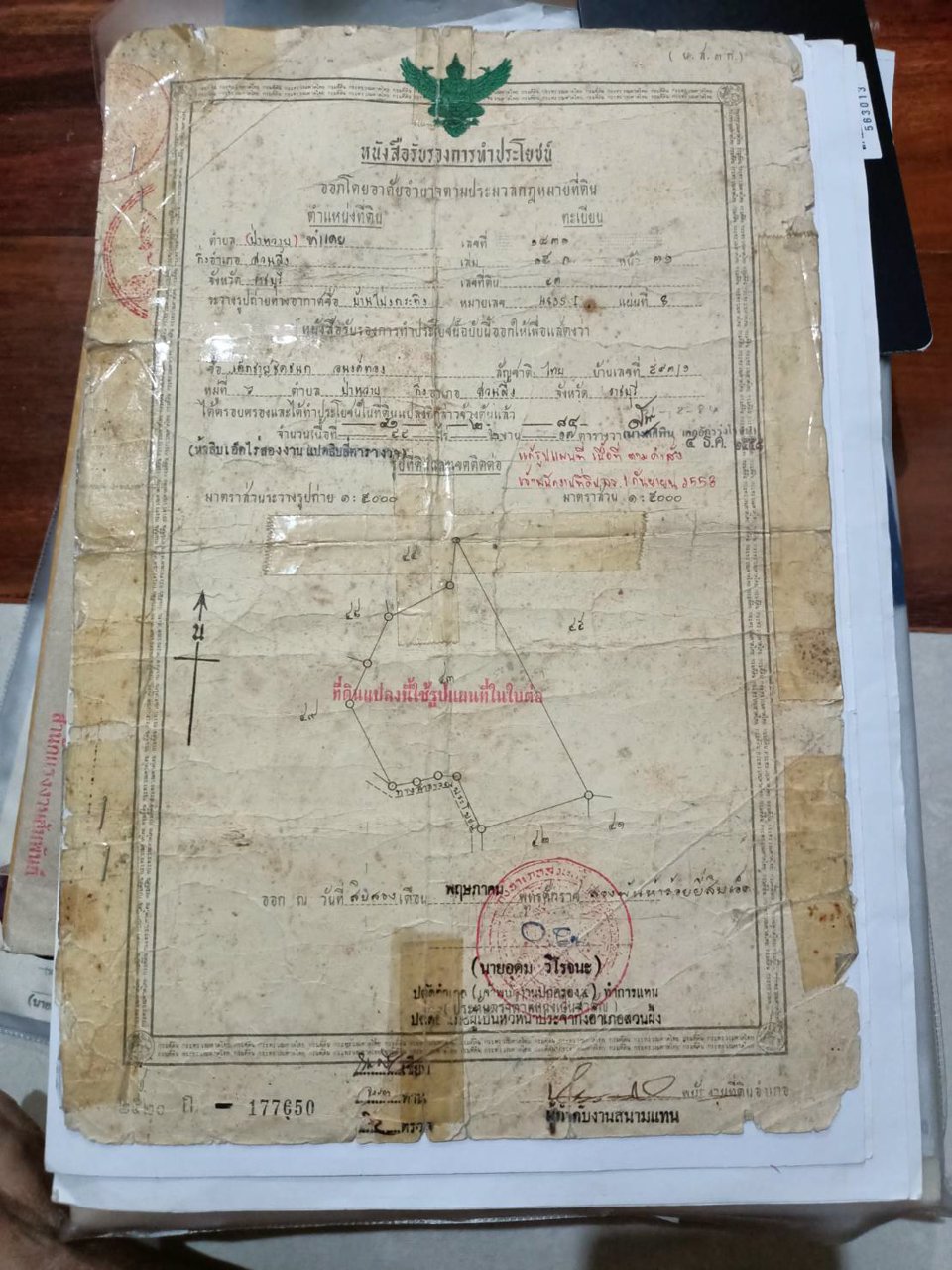 ขายที่ดิน-พร้อมต้นปาล์ม-เนื้อที่รวม-33-ไร่-2-งาน-84-ตารางวา