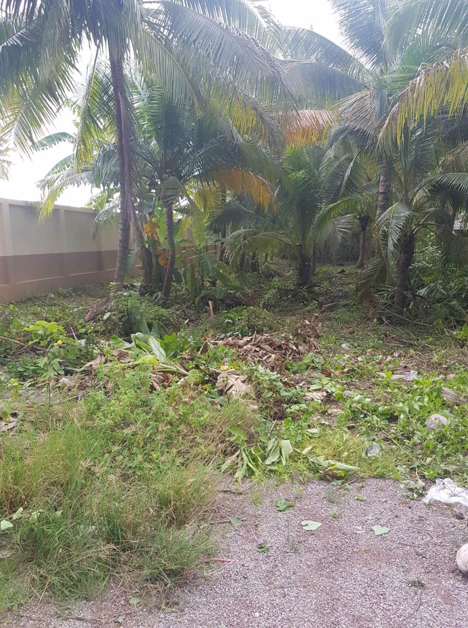 ขาย-2ไร่-2งาน-20ตารางวา-ที่ดินเปล่า-ติดริมแม่น้ำ-แม่กลอง