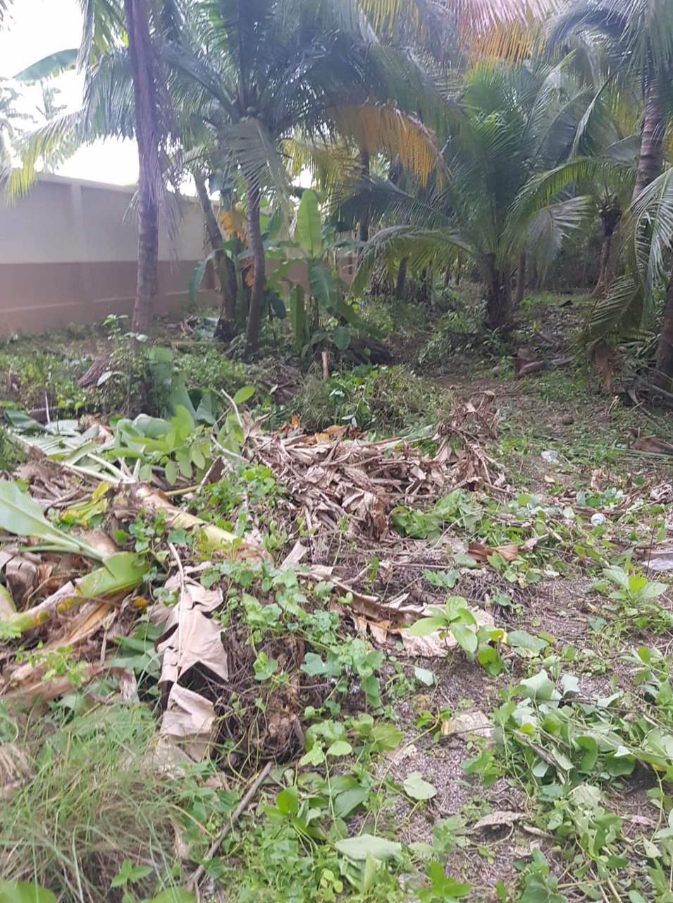 ขาย-2ไร่-2งาน-20ตารางวา-ที่ดินเปล่า-ติดริมแม่น้ำ-แม่กลอง