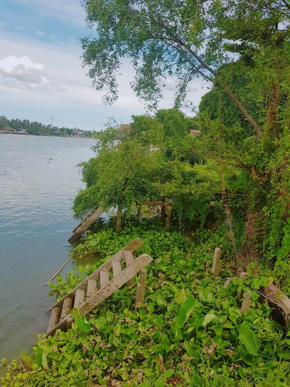 ขาย-2ไร่-2งาน-20ตารางวา-ที่ดินเปล่า-ติดริมแม่น้ำ-แม่กลอง