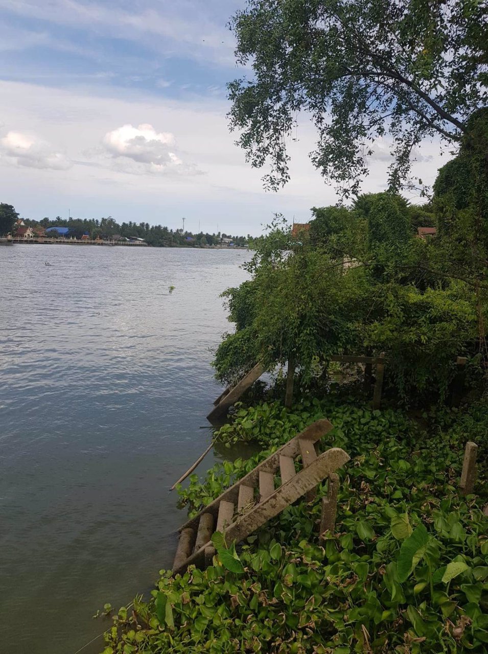 ขาย-2ไร่-2งาน-20ตารางวา-ที่ดินเปล่า-ติดริมแม่น้ำ-แม่กลอง