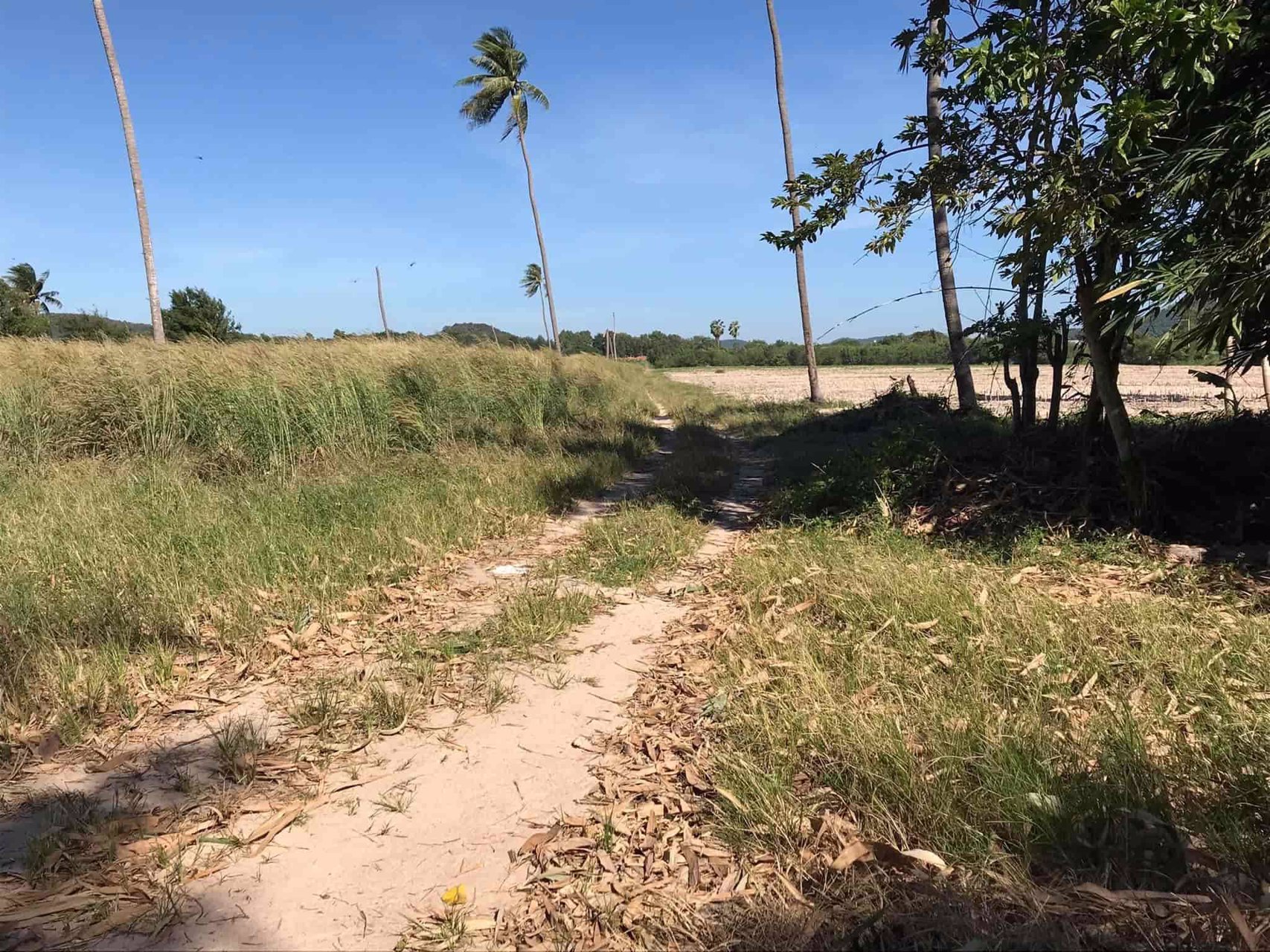 ขายที่ดินทำเลทอง-แปลงใหญ่หาไม่ได้อีกแล้ว-ติด-ถสุขุมวิท-ใกล้ศูนย์การค้าแห่งใหม่-โรบินสัน-บ้านฉาง