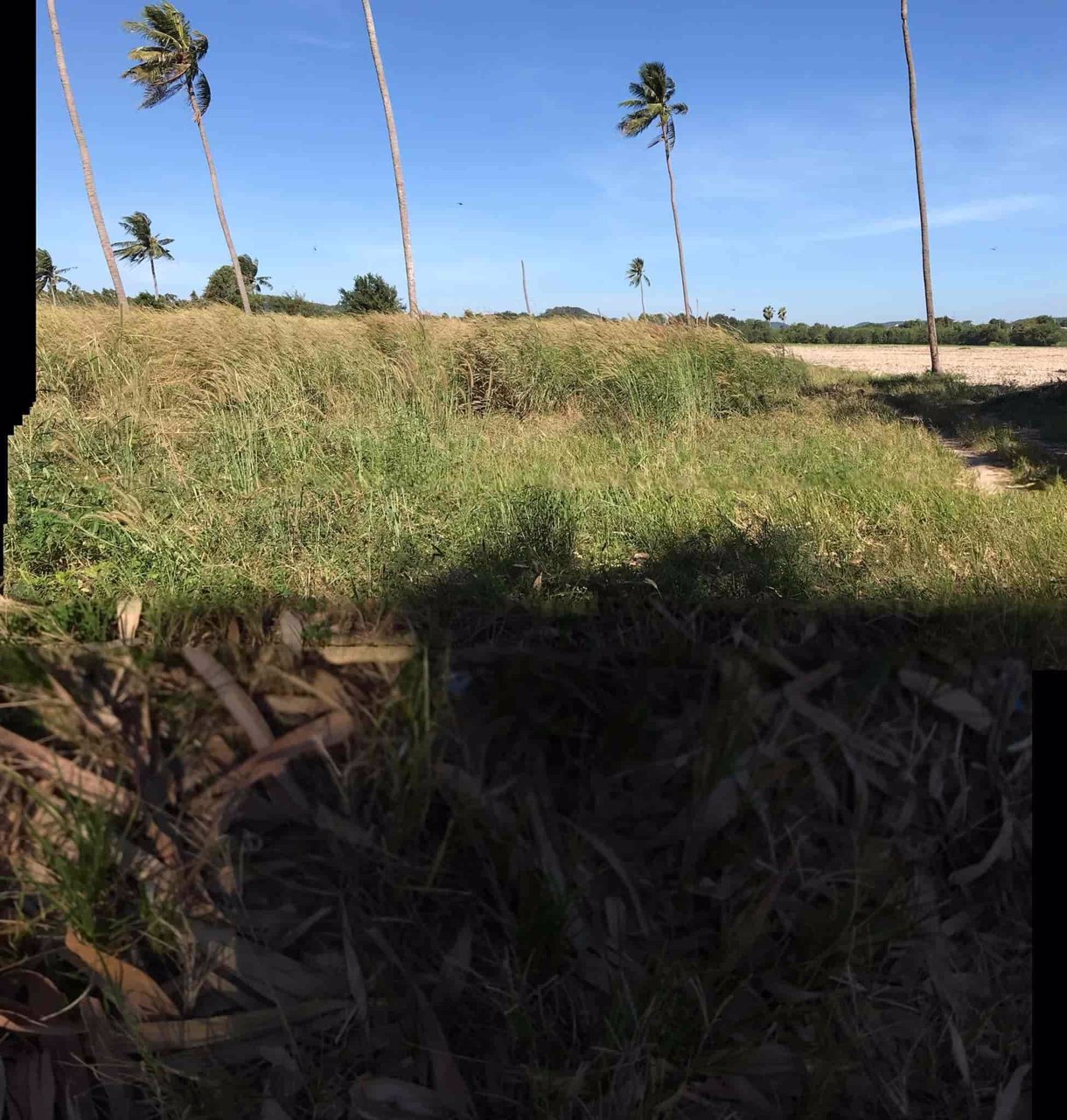 ขายที่ดินทำเลทอง-แปลงใหญ่หาไม่ได้อีกแล้ว-ติด-ถสุขุมวิท-ใกล้ศูนย์การค้าแห่งใหม่-โรบินสัน-บ้านฉาง