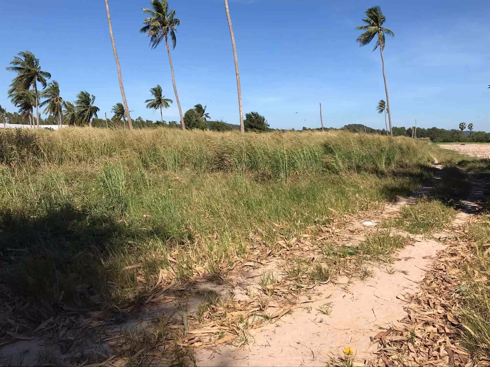 ขายที่ดินทำเลทอง-แปลงใหญ่หาไม่ได้อีกแล้ว-ติด-ถสุขุมวิท-ใกล้ศูนย์การค้าแห่งใหม่-โรบินสัน-บ้านฉาง