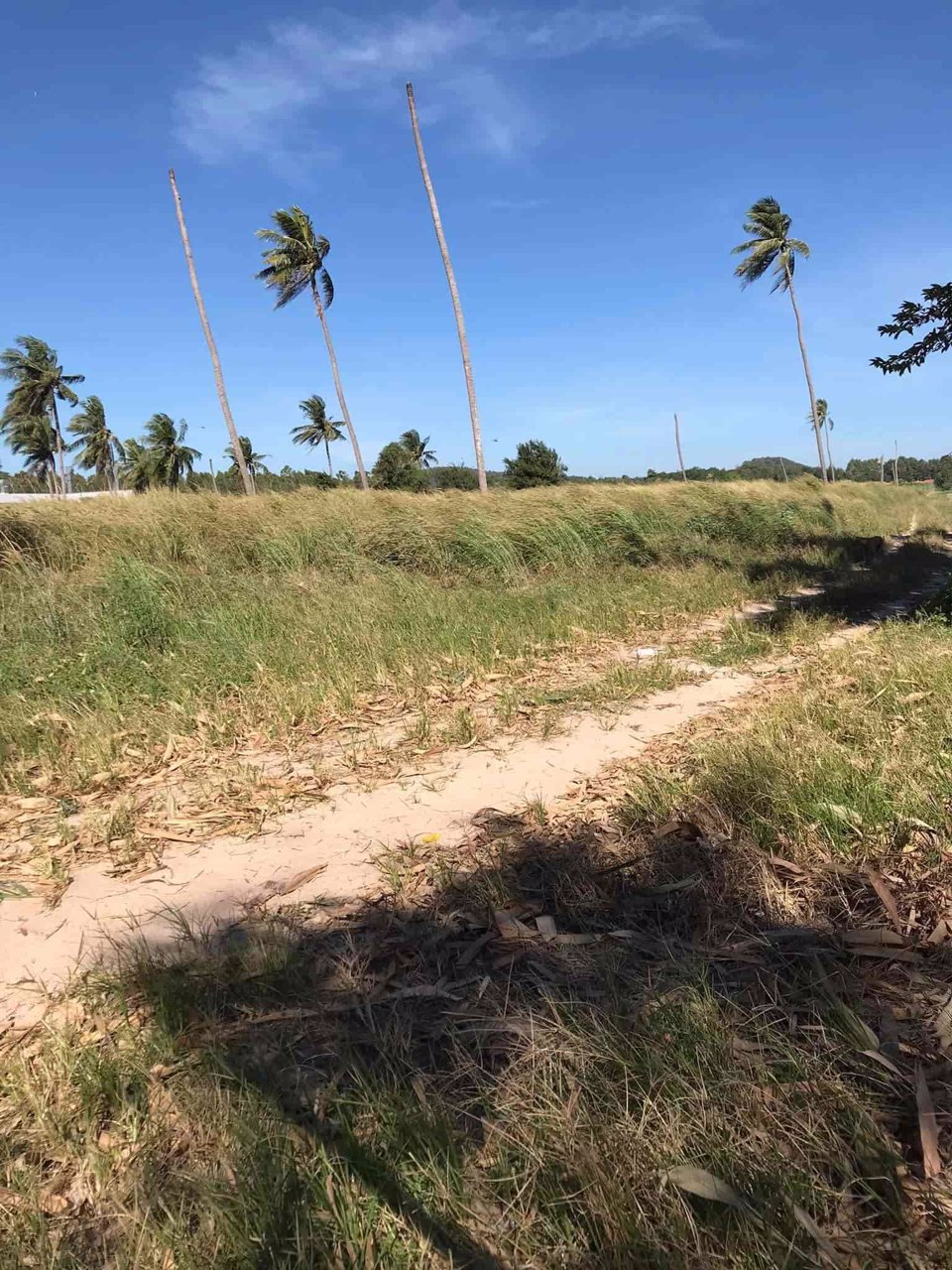 ขายที่ดินทำเลทอง-แปลงใหญ่หาไม่ได้อีกแล้ว-ติด-ถสุขุมวิท-ใกล้ศูนย์การค้าแห่งใหม่-โรบินสัน-บ้านฉาง