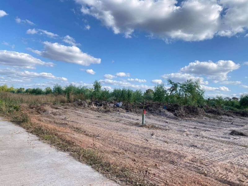 ขายที่ดินแบ่งแปลง-291ตรว