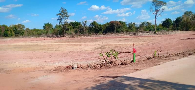 ขายที่ดินแบ่งแปลง-291ตรว