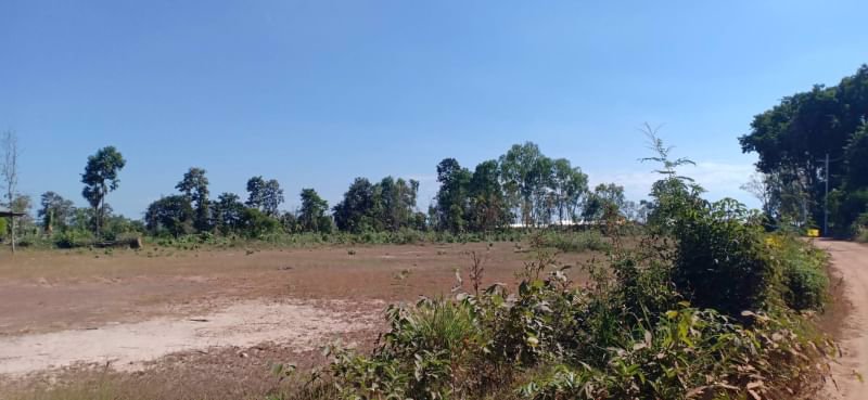 ขายที่ดินทำสวย-6ไร่-3งาน-31ตรว-อยู่ท้ายบ้านห้วยพิชัย