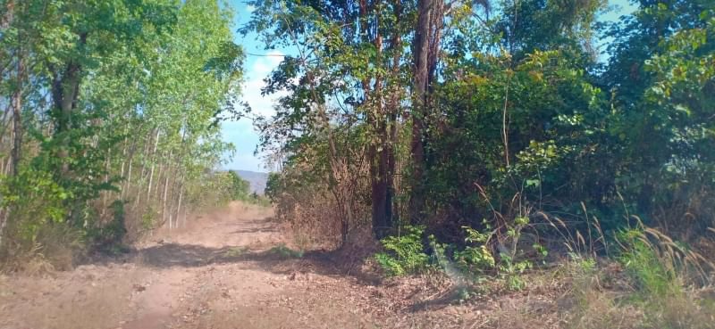 ขายที่ดินทำสวย-6ไร่-3งาน-31ตรว-อยู่ท้ายบ้านห้วยพิชัย