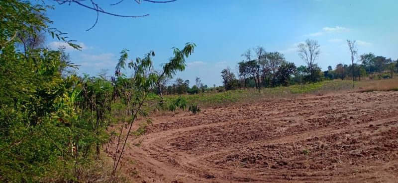 ขายที่ดินทำสวย-6ไร่-3งาน-31ตรว-อยู่ท้ายบ้านห้วยพิชัย