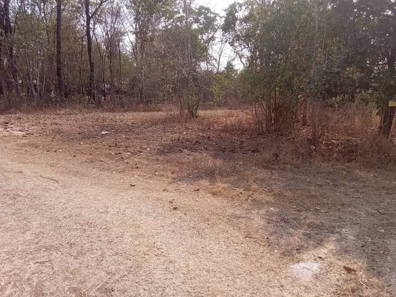 ขายที่ดินทำโคกหนองนา10ไร่-ใกล้ชุมชนบ้านนาจาน