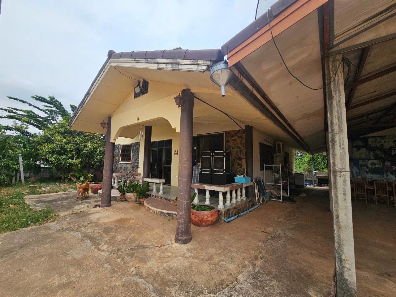 ขายบ้านพร้อมที่ดิน-ติดการไฟฟ้าส่วนภูมิภาคจังหวัดชัยภูมิ