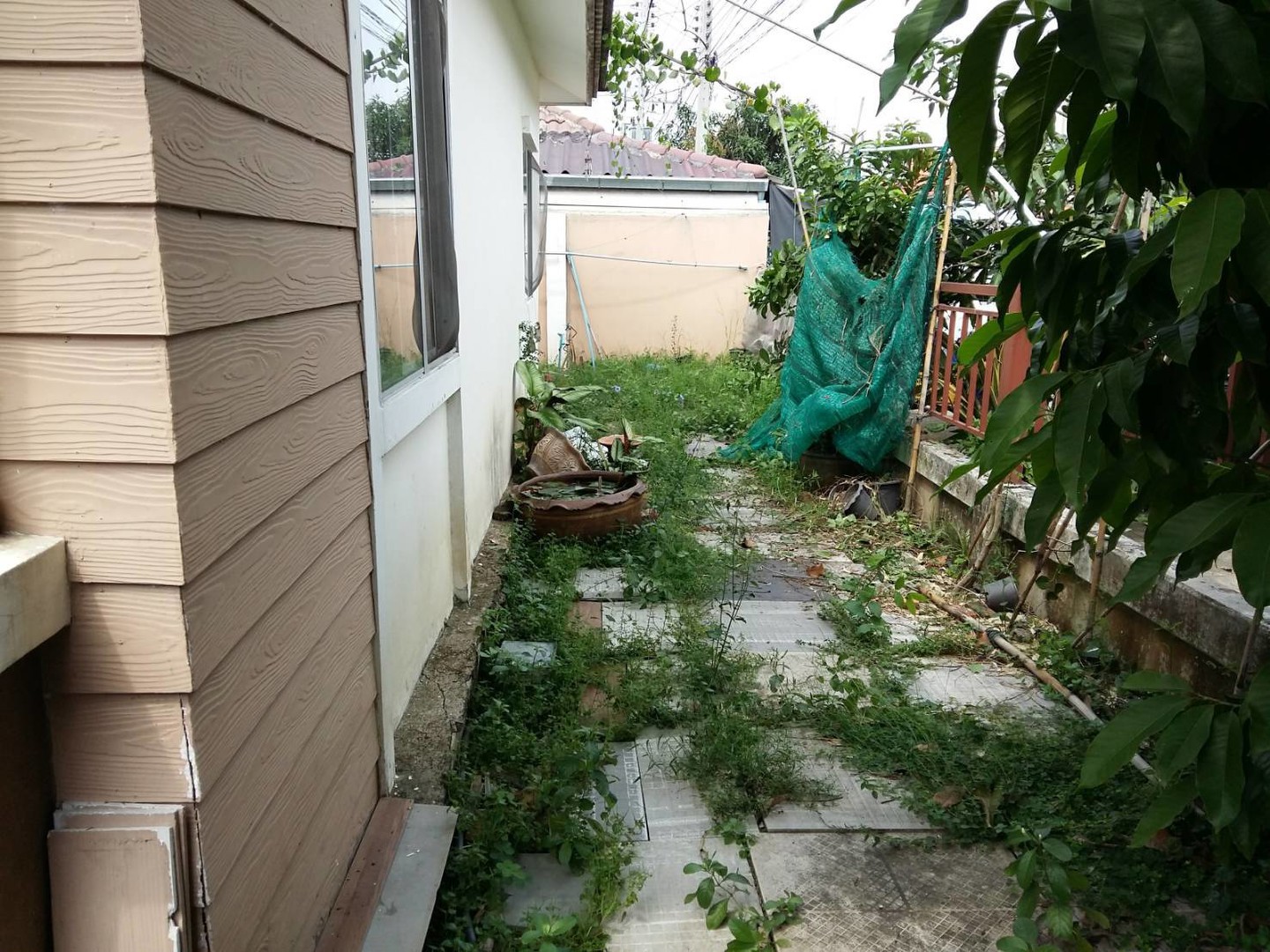 ขายทาวน์เฮ้าส์ชั้นเดียว-ราคาไม่ถึงล้าน-หมู่บ้านพฤกษาพนาลี-36-ฉะเชิงเทรา