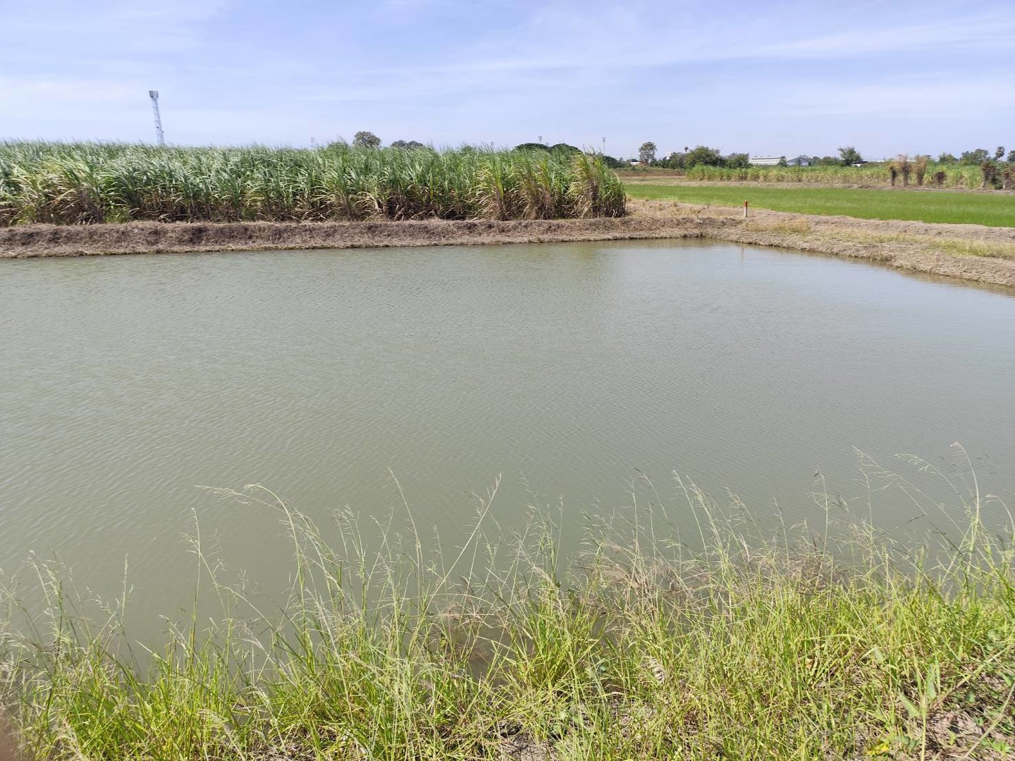 ขายที่ดินเปล่า-แปลง-1-9-ไร่แปลงสวย-แบ่งได้-ที่ใกล้หอพัก-นกฮูกเก้า-ม-เกษตร-กำแพงแสน-นครปฐม-vacant-la