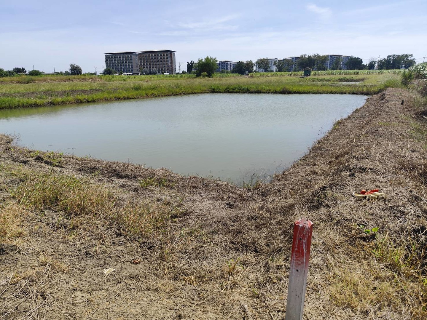 ขายที่ดินเปล่า-แปลง-1-9-ไร่แปลงสวย-แบ่งได้-ที่ใกล้หอพัก-นกฮูกเก้า-ม-เกษตร-กำแพงแสน-นครปฐม-vacant-la