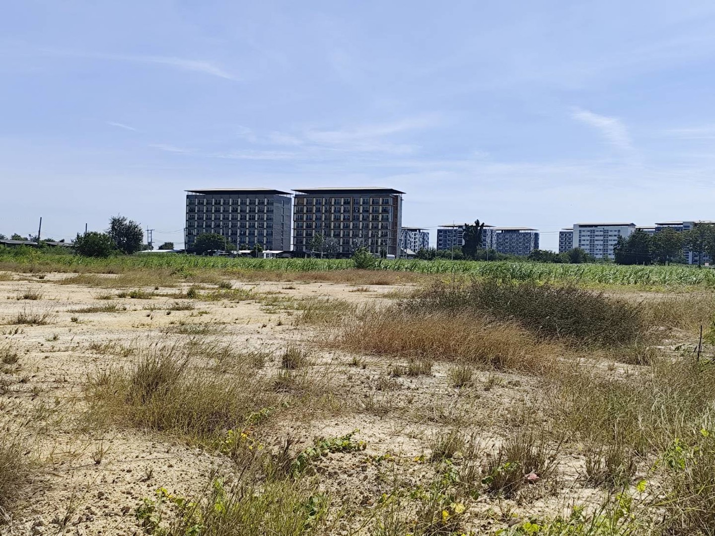 ขายที่ดินเปล่า-แปลง-1-9-ไร่แปลงสวย-แบ่งได้-ที่ใกล้หอพัก-นกฮูกเก้า-ม-เกษตร-กำแพงแสน-นครปฐม-vacant-la