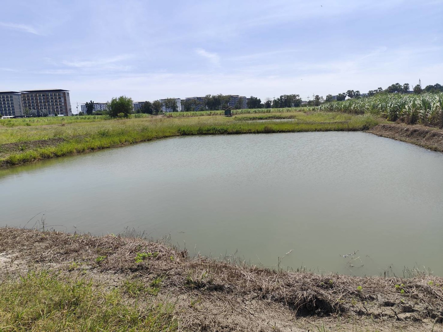 ขายที่ดินเปล่า-แปลง-1-9-ไร่แปลงสวย-แบ่งได้-ที่ใกล้หอพัก-นกฮูกเก้า-ม-เกษตร-กำแพงแสน-นครปฐม-vacant-la