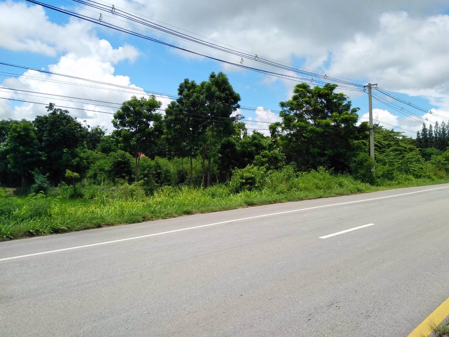 ขายที่ดินติดถนนสาย-201-ชัยภูมิ-สีคิ้ว-4-ไร่-2-งาน-55-ตรวา-หน้ากว้าง-วางผังง่าย