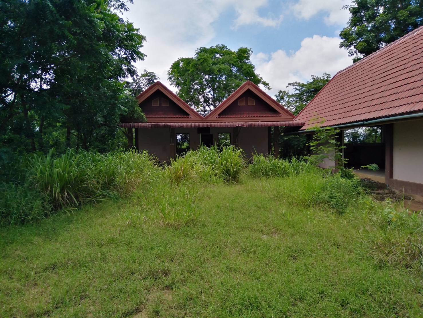 ขายที่ดินติดถนนสาย-201-ชัยภูมิ-สีคิ้ว-4-ไร่-2-งาน-55-ตรวา-หน้ากว้าง-วางผังง่าย