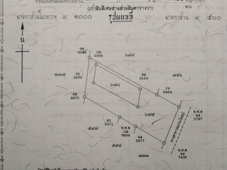 ขาย-ที่ดิน-ราคาถูกเหมาะสร้างบ้าน-ถนนเทอดไท-9430-ตรวา-ใกล้-bts-บางหว้า