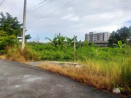 ขาย-ที่ดิน-ใกล้-มมหิดล-ศาลายา-259-ตรวา-เหมาะสร้างบ้านหรืออพาร์ทเมนท์