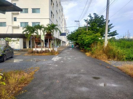 ขาย-ที่ดิน-ใกล้-มมหิดล-ศาลายา-259-ตรวา-เหมาะสร้างบ้านหรืออพาร์ทเมนท์