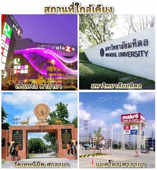 ขาย-ที่ดิน-ใกล้-มมหิดล-ศาลายา-259-ตรวา-เหมาะสร้างบ้านหรืออพาร์ทเมนท์