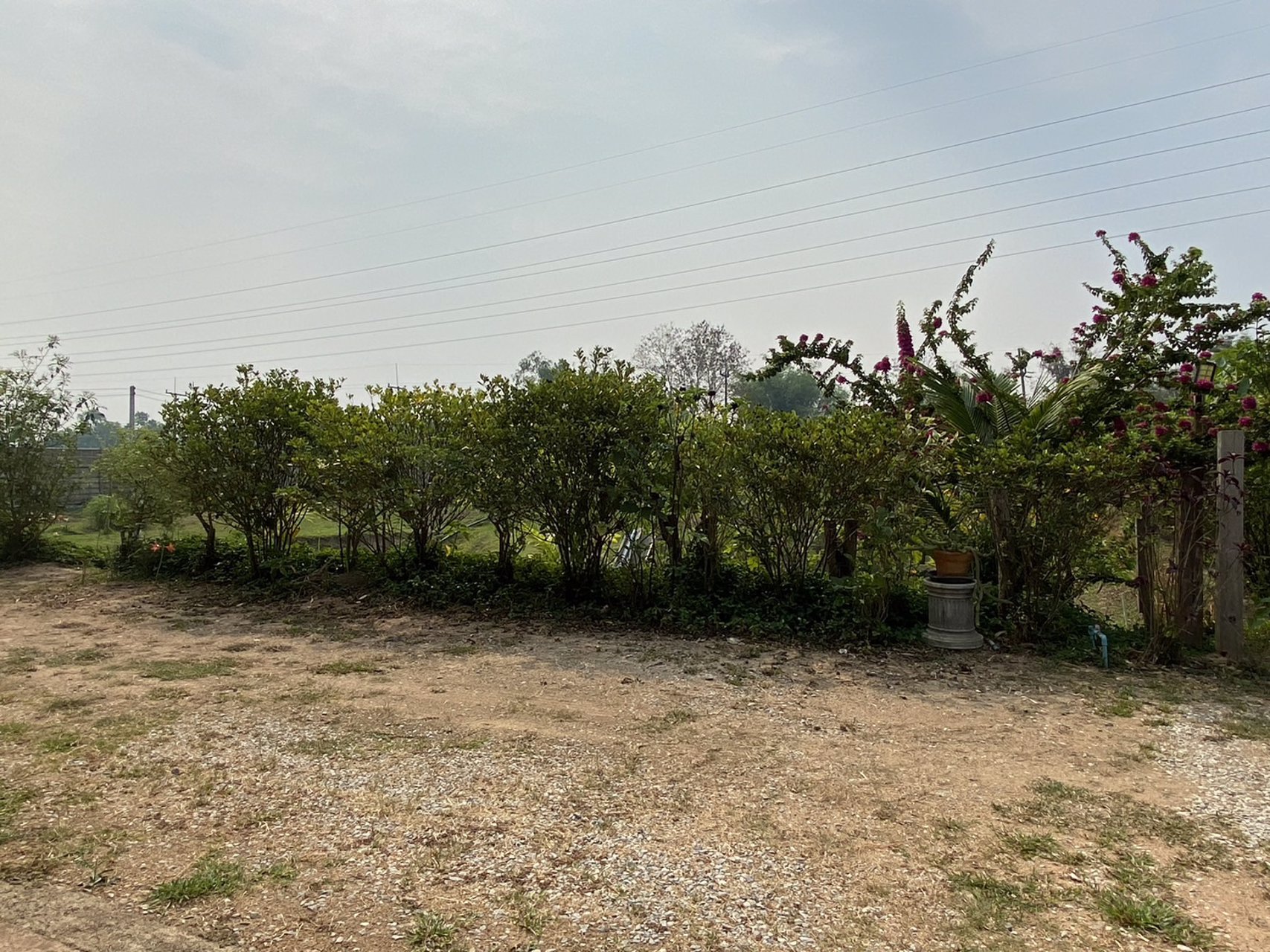 บ้านสวนพร้อมอยู่-บรรยากาศธรรมชาติ-ใกล้ตัวเมืองเชียงราย