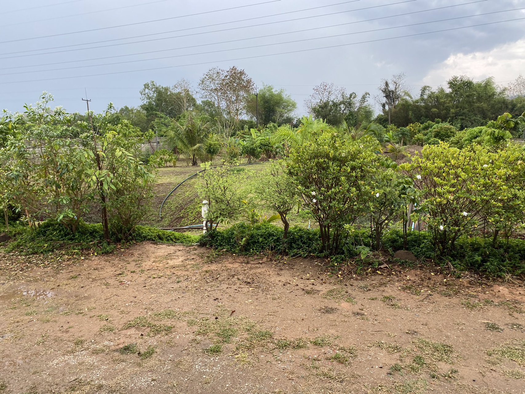 บ้านสวนพร้อมอยู่-บรรยากาศธรรมชาติ-ใกล้ตัวเมืองเชียงราย