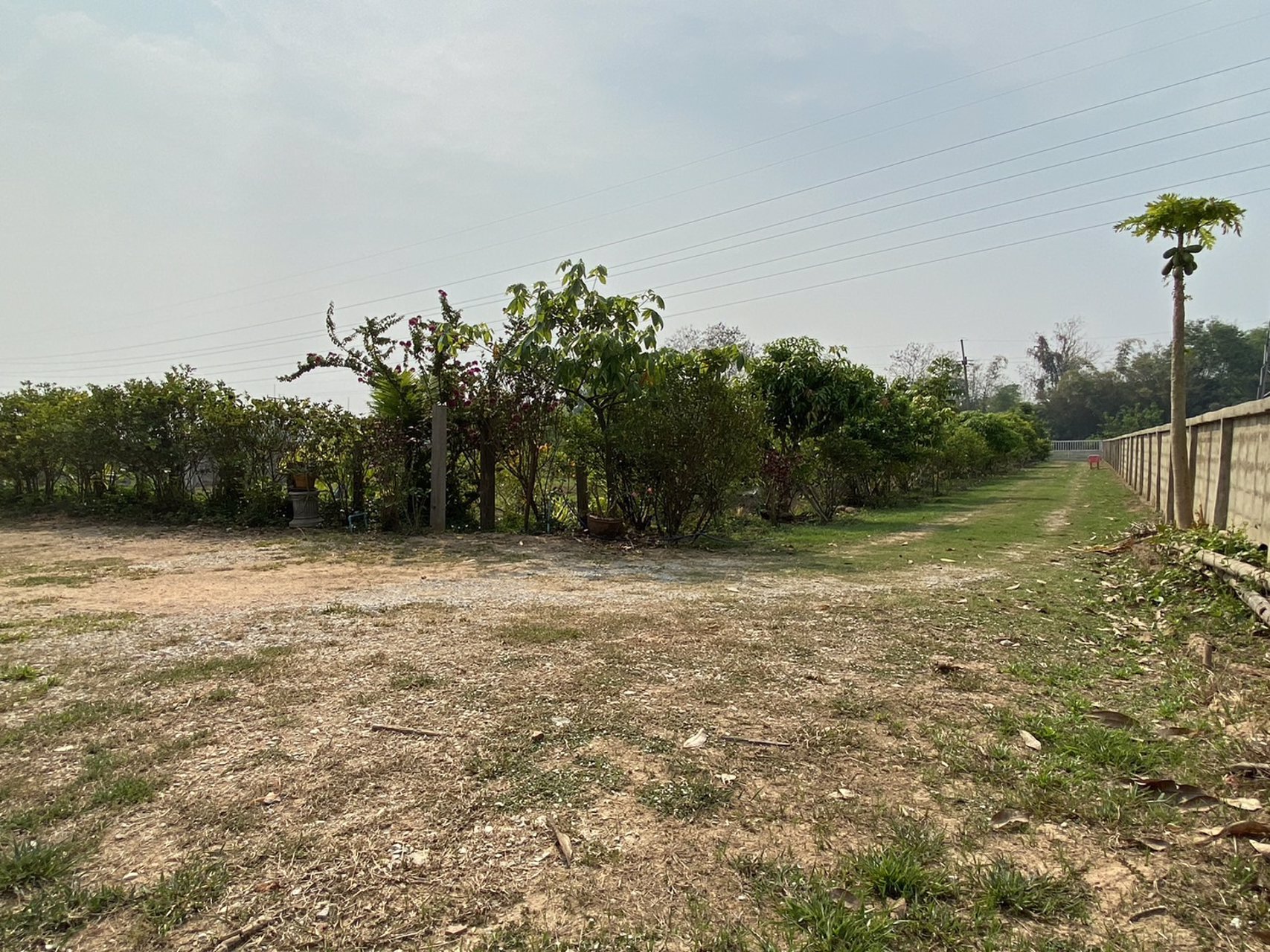 บ้านสวนพร้อมอยู่-บรรยากาศธรรมชาติ-ใกล้ตัวเมืองเชียงราย