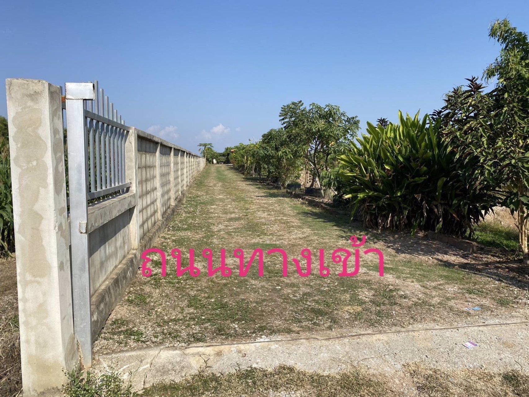 บ้านสวนพร้อมอยู่-บรรยากาศธรรมชาติ-ใกล้ตัวเมืองเชียงราย